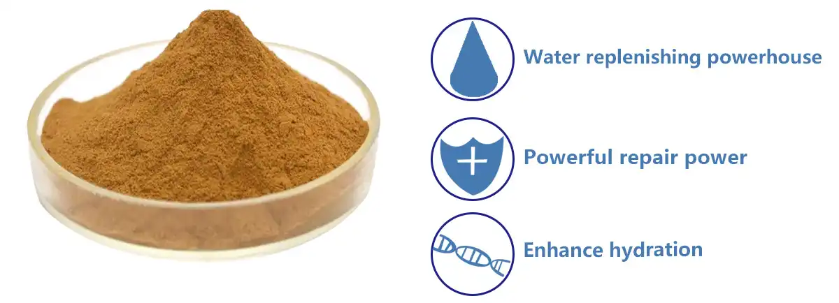 Calendula Officinalis powder.jpg